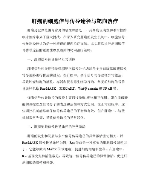 肝癌的细胞信号传导途径与靶向治疗