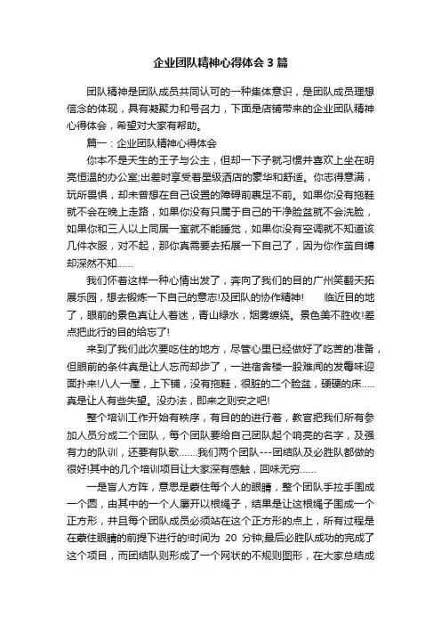 企业团队精神心得体会3篇