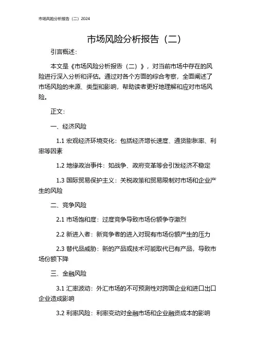 市场风险分析报告(二)2024