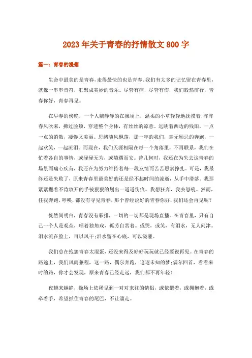 2023年文学_关于青春的抒情散文800字