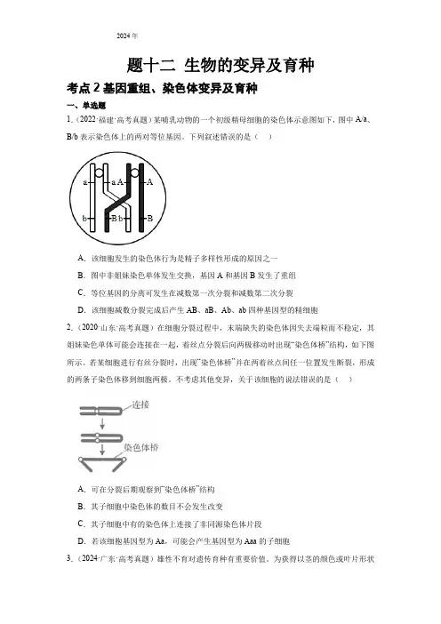 【20-24年高考真题分类汇编】专题十二 生物的变异及育种  考点2基因重组、染色体变异及育种