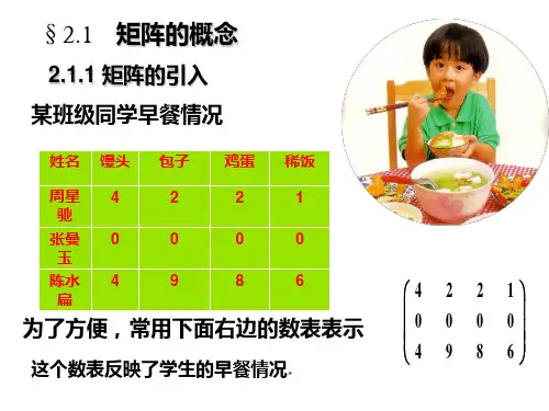 线性代数矩阵及其运算ppt课件