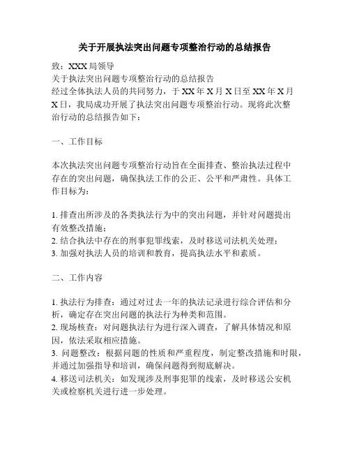 关于开展执法突出问题专项整治行动的总结报告