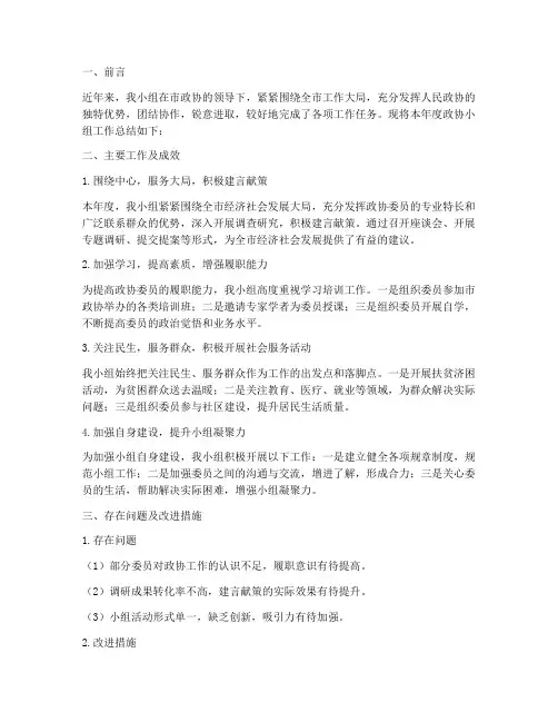 政协小组总结范文