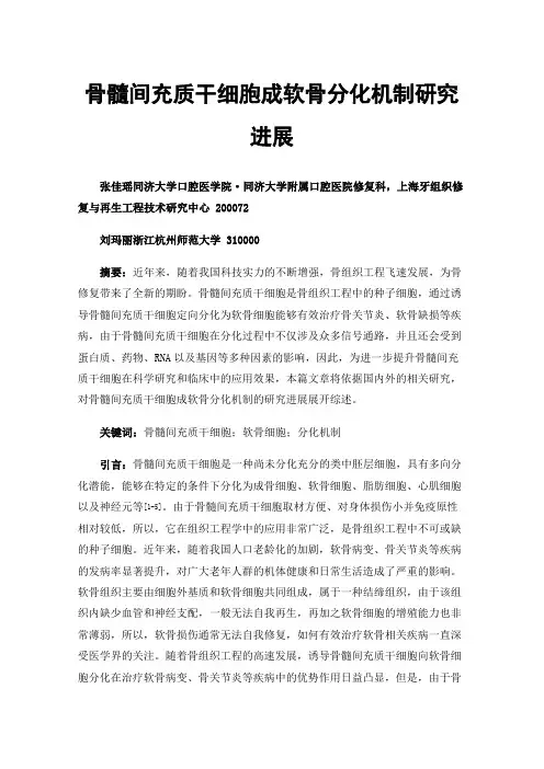 骨髓间充质干细胞成软骨分化机制研究进展