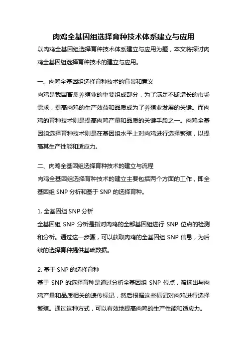 肉鸡全基因组选择育种技术体系建立与应用