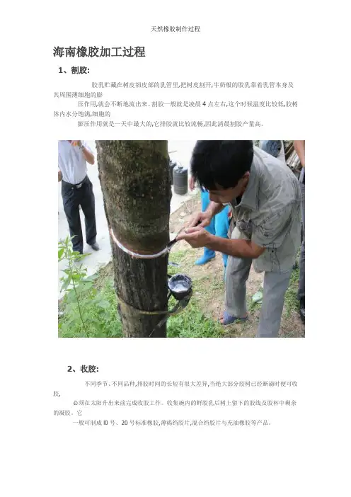 天然橡胶制作过程