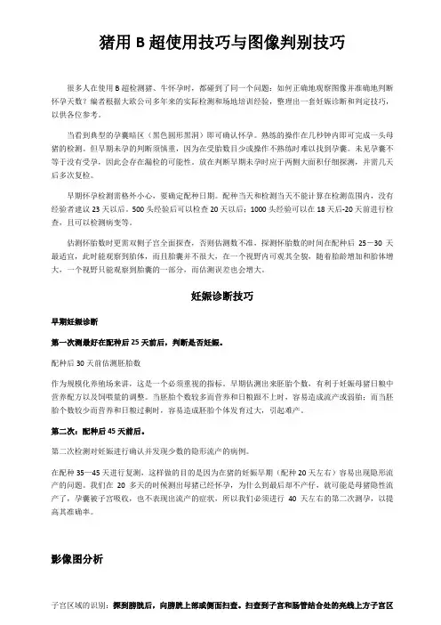 猪用B超使用技巧与图像判别技巧