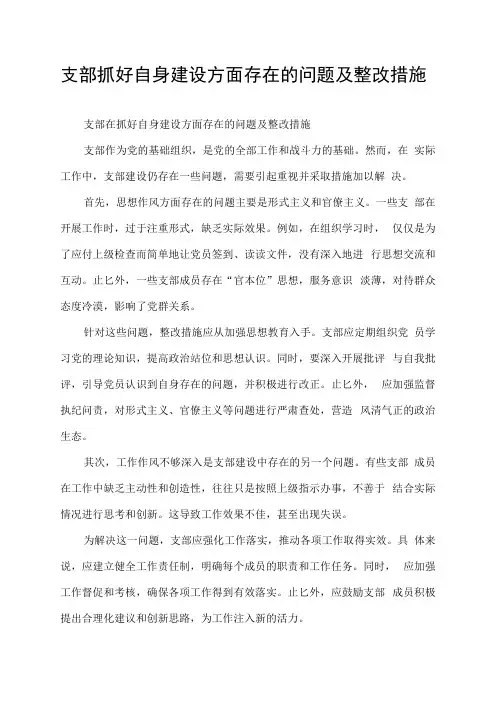 支部抓好自身建设方面存在的问题及整改措施