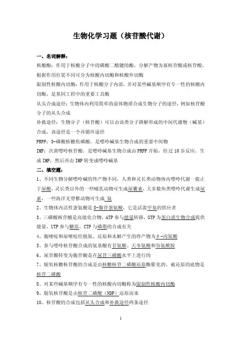 生物化学习题（核苷酸代谢习题及答案）