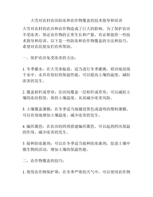 大雪对农村农田防冻和农作物覆盖的技术指导和培训