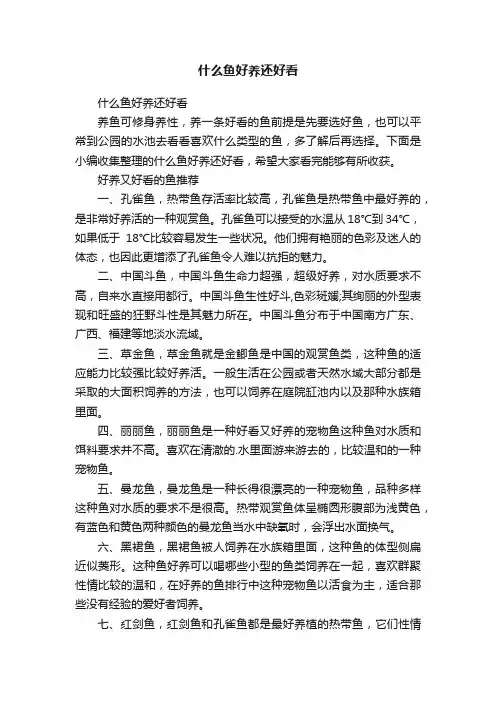 什么鱼好养还好看