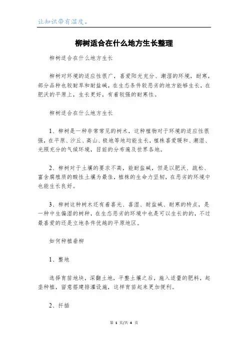 柳树适合在什么地方生长整理