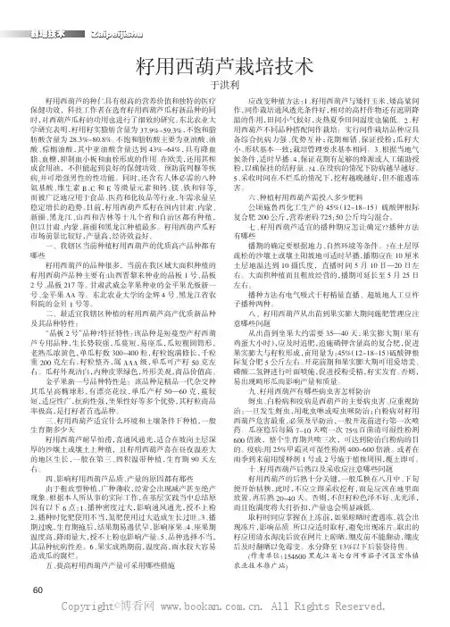 籽用西葫芦栽培技术