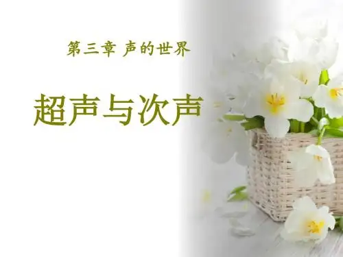 沪科版物理八年级第三章第三节《超声与次声》声的世界PPT课件