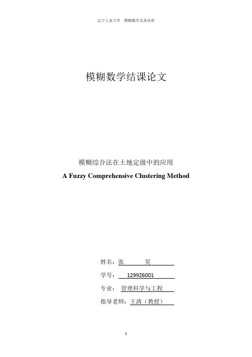 模糊数学结课论文