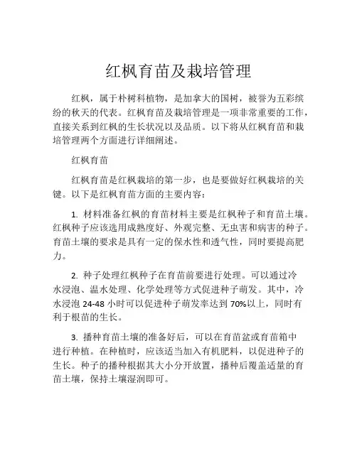 红枫育苗及栽培管理