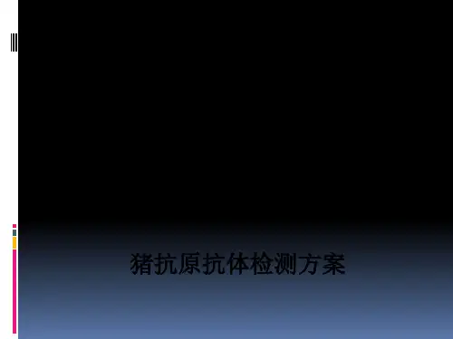 [医学]猪抗原抗体检测方案