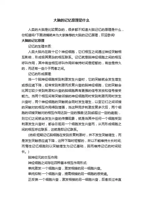大脑的记忆原理是什么
