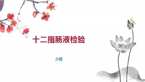 十二指肠液检验