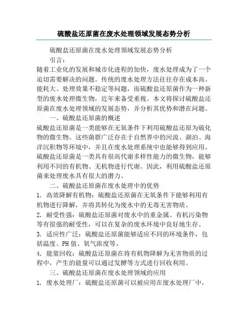硫酸盐还原菌在废水处理领域发展态势分析