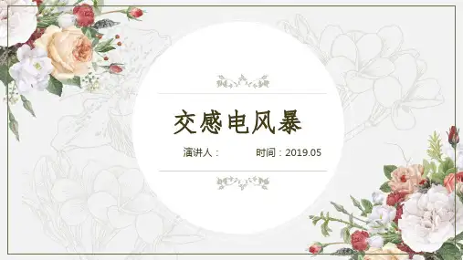 电风暴_精品文档