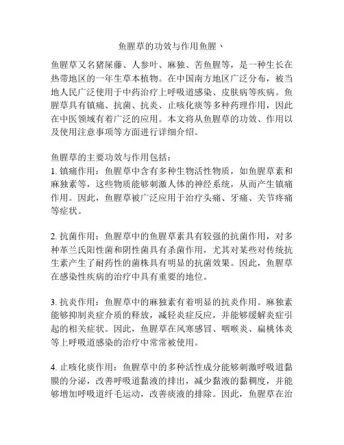 鱼腥草的功效与作用鱼腥丶