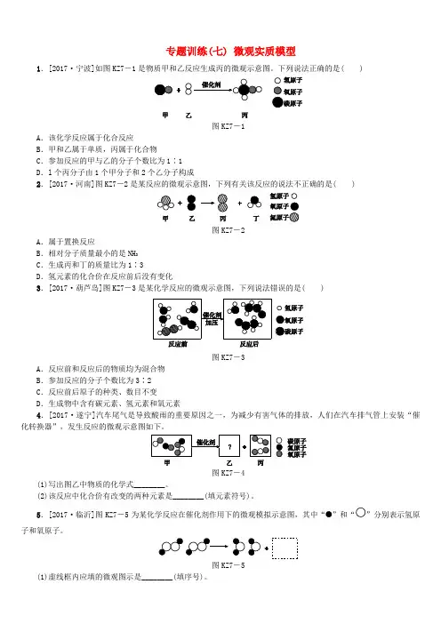 山西2018届中考化学复习方案专题训练(七)微观实质模型