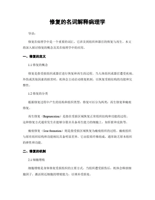 修复的名词解释病理学