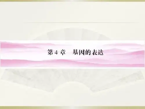 2012届高考生物第一轮知识点复习课件37