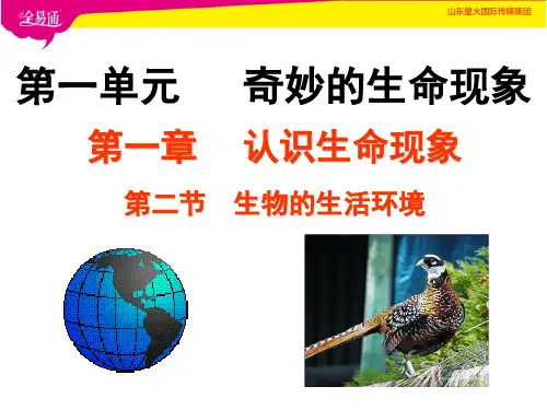 《生物的生活环境》教学课件3 济南版