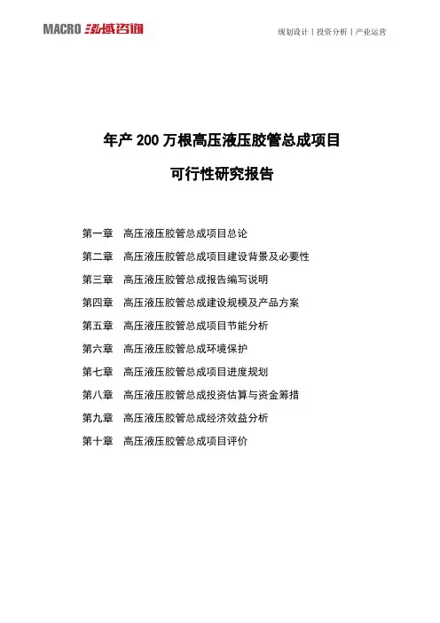 年产200万根高压液压胶管总成项目可行性研究报告