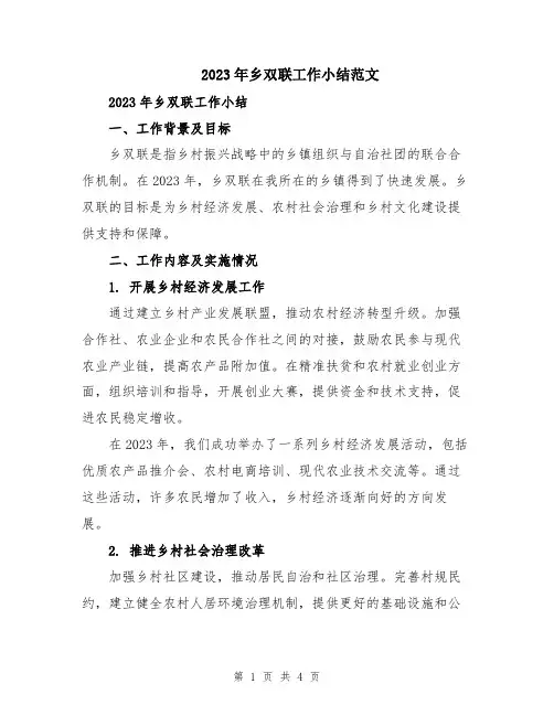 2023年乡双联工作小结范文