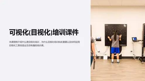 可视化(目视化)培训课件