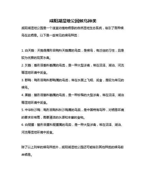 咸阳湖湿地公园候鸟种类