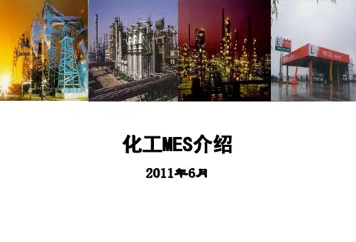 化工MES石化盈科信息技术有限责任公司.ppt