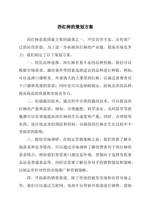 西红柿的策划方案