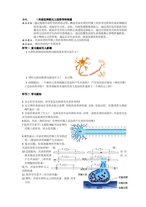 高三生物一轮复习教案：课题3 兴奋的 传导和传递