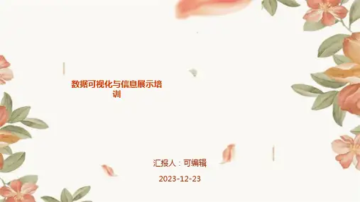 数据可视化与信息展示培训ppt