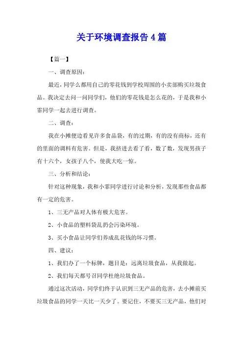 关于环境调查报告4篇