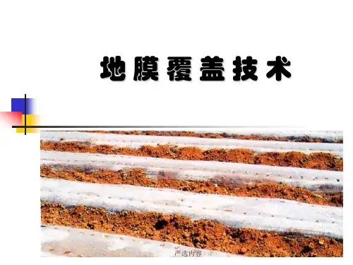地膜覆盖技术[高级课件]