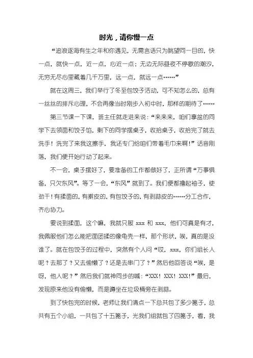 初三作文:时光,请你慢一点作文800字