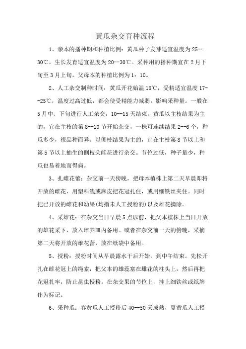 黄瓜杂交育种流程