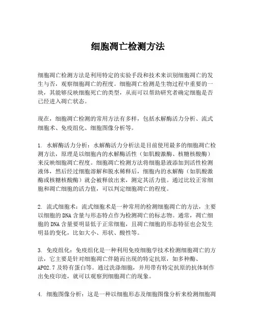细胞凋亡检测方法