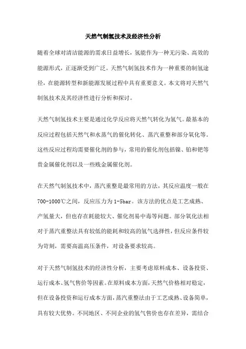 天然气制氢技术及经济性分析