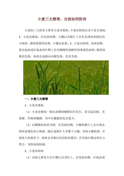 小麦三大病害,分别如何防治