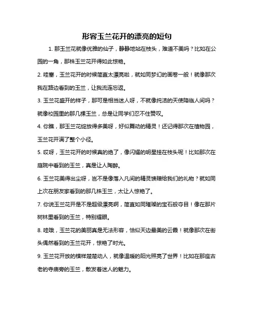 形容玉兰花开的漂亮的短句