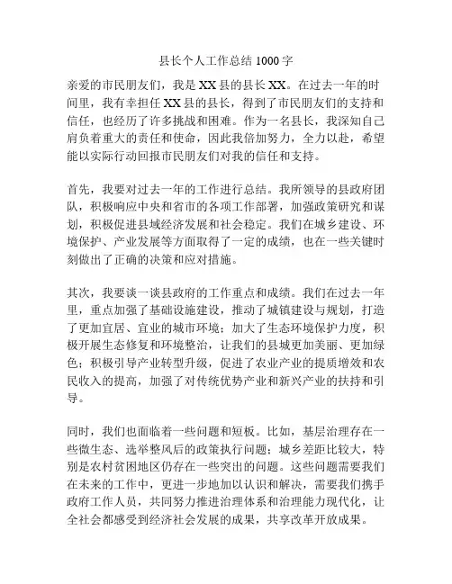 县长个人工作总结1000字