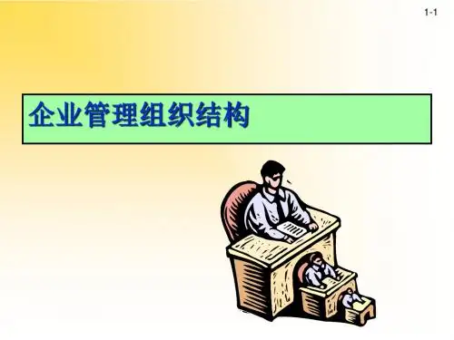 企业管理组织结构(PPT 19)