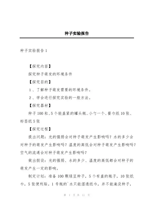 种子实验报告